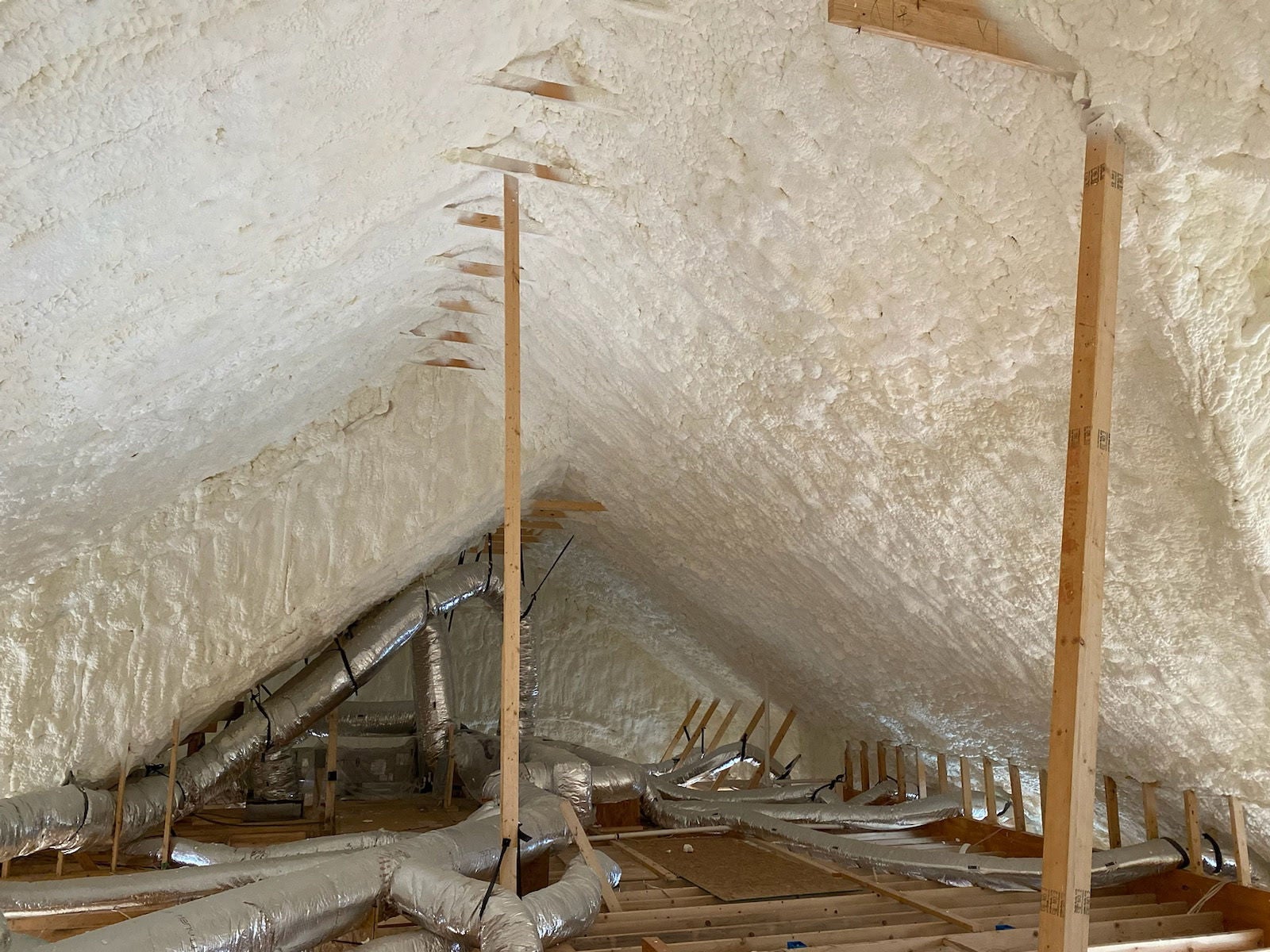 An image of allergens in a home 