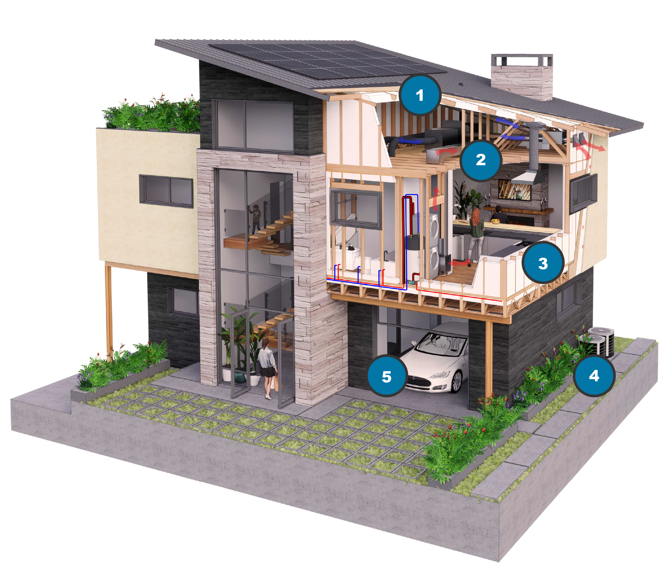 A 3d cross section redndering of a house